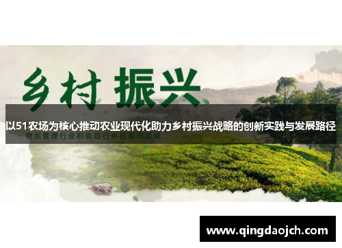 以51农场为核心推动农业现代化助力乡村振兴战略的创新实践与发展路径