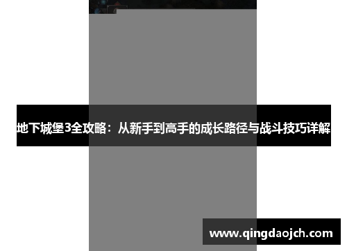 地下城堡3全攻略：从新手到高手的成长路径与战斗技巧详解